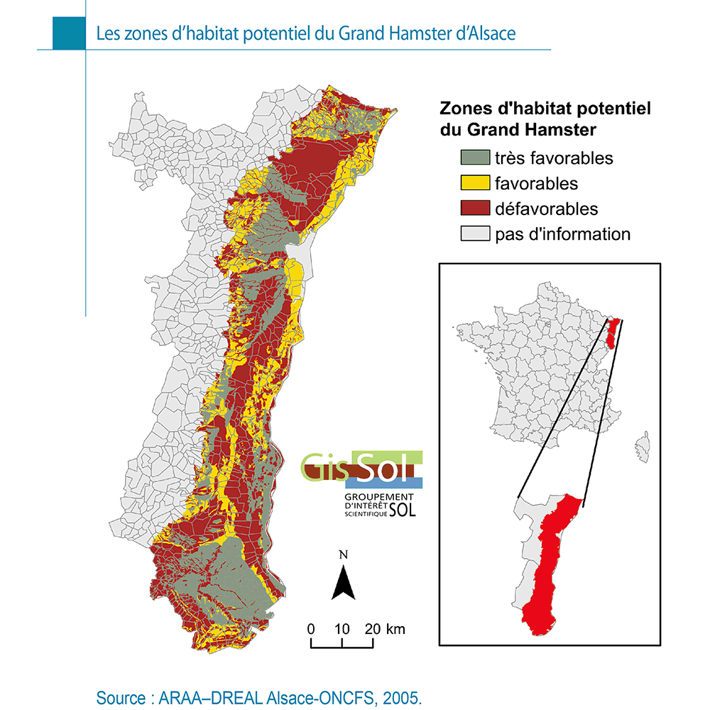 Les zones d’habitat potentiel du Grand Hamster d’Alsace