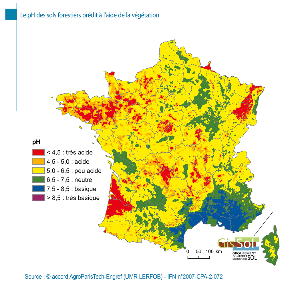 Le pH des sols forestiers prédit à l’aide de la végétation