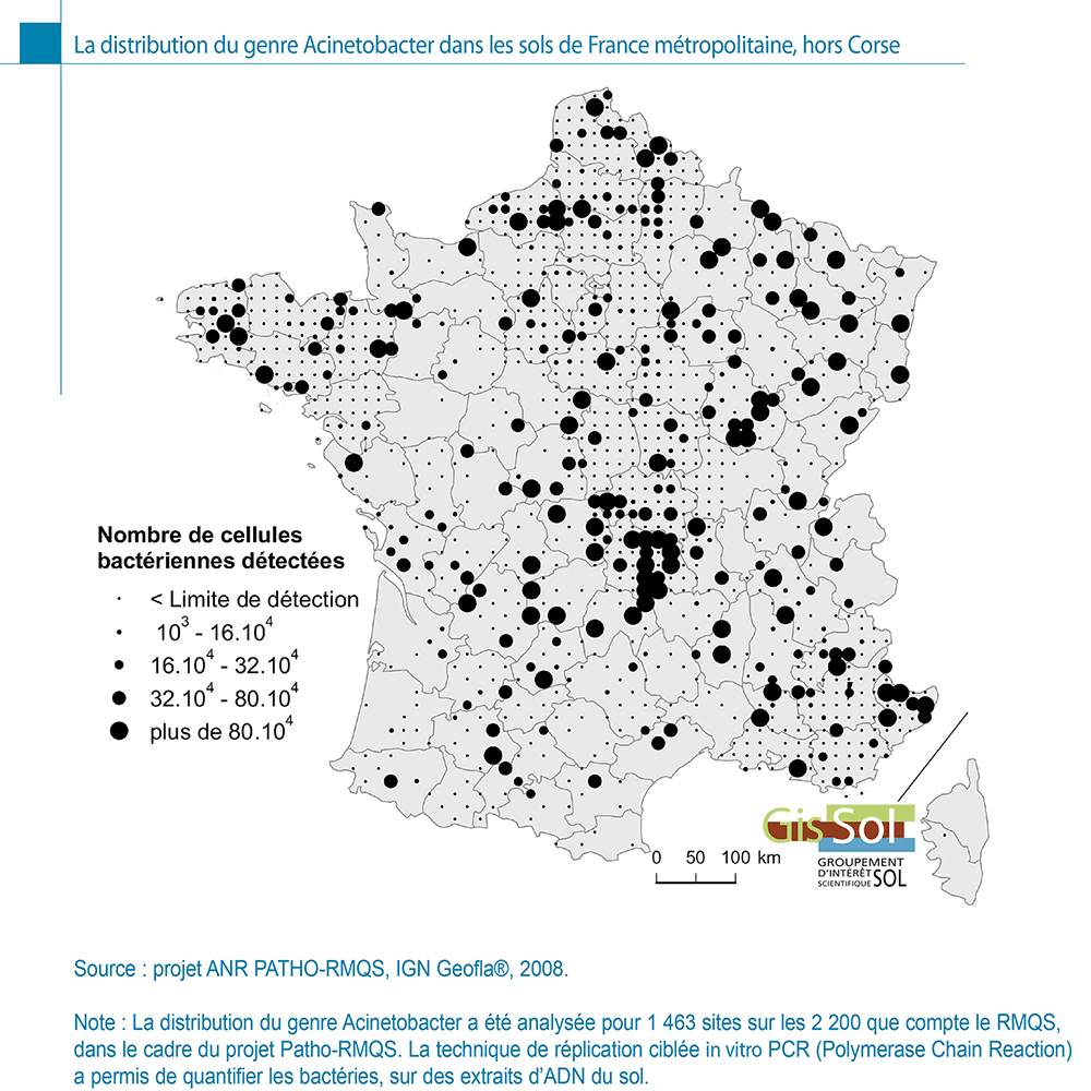La distribution du genre Acinetobacter dans les sols de France métropolitaine, hors Corse