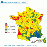 Le pH des sols forestiers prédit à l’aide de la végétation